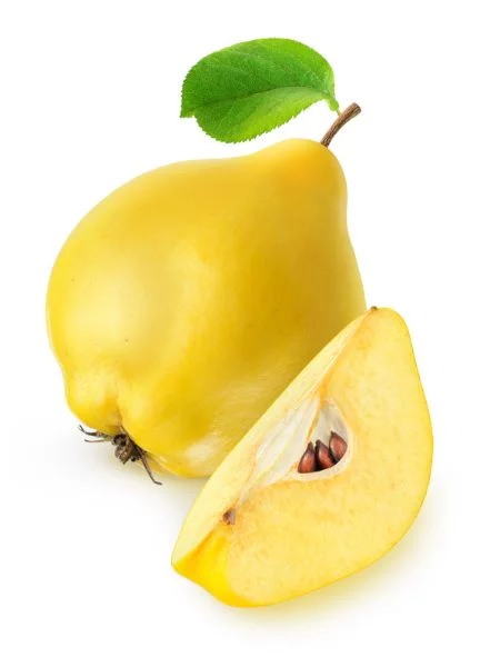 Kweepeer